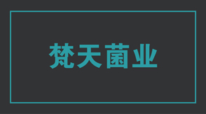 食品行业无锡新吴区工作服设计款式